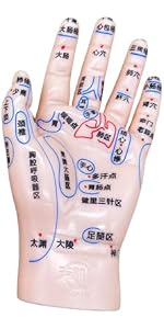 〇Od54 未使用保管品 鍼 ツボ モデル 手 耳 足 3点まとめ Amazon.co.jp: S.T.S.G 手つぼ 模型 ハンドマネキン 左手 鍼灸 整体